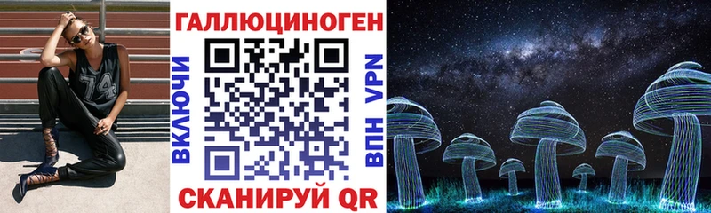 купить закладку Чекалин Галлюциногенные грибы мухоморы